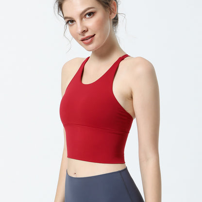 Fitness Padded Push Up Bra - iSavageAthletix | Athletic Wear & Sports Equipment