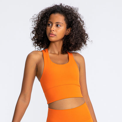 High Support Padded Gym Athletic Sports Tops - iSavageAthletix | Athletic Wear & Sports Equipment